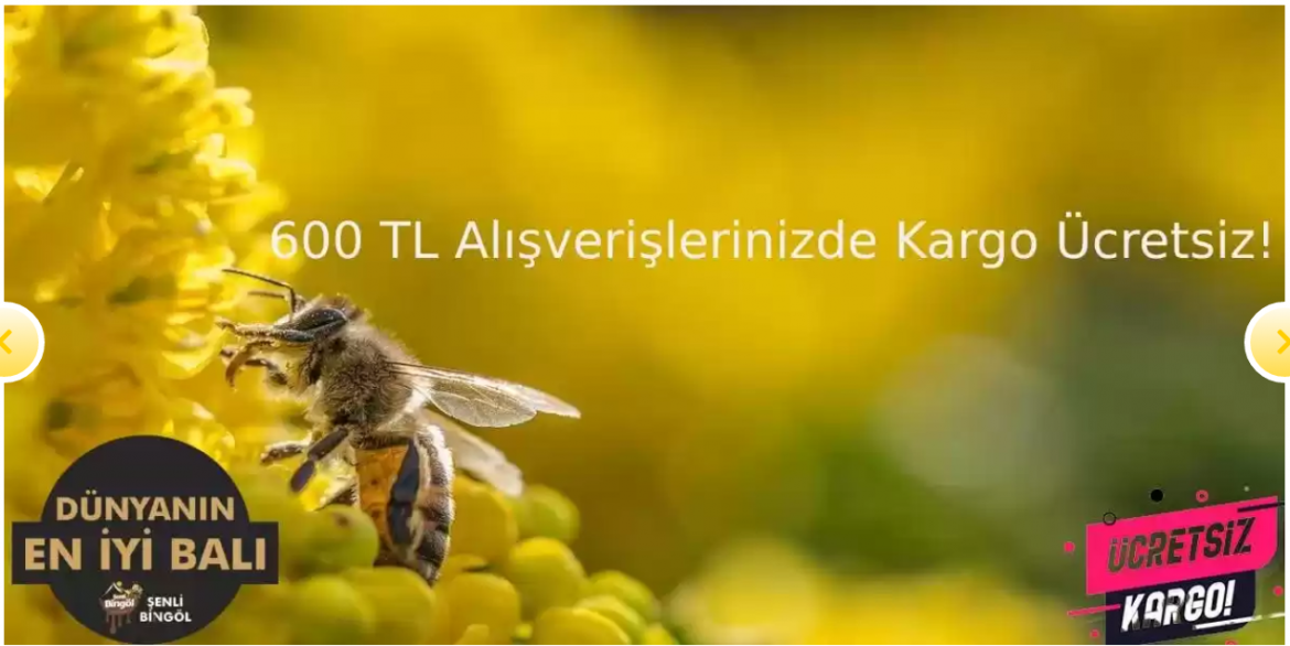 bingölbal