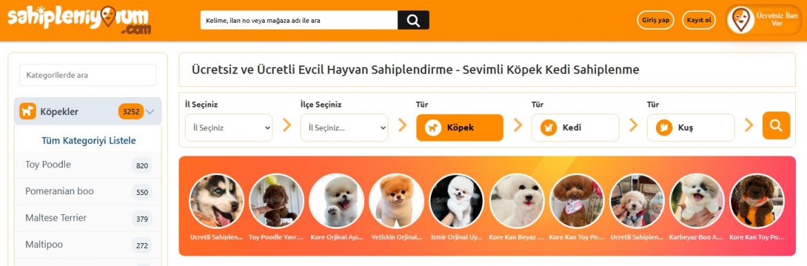 köpek ilanı